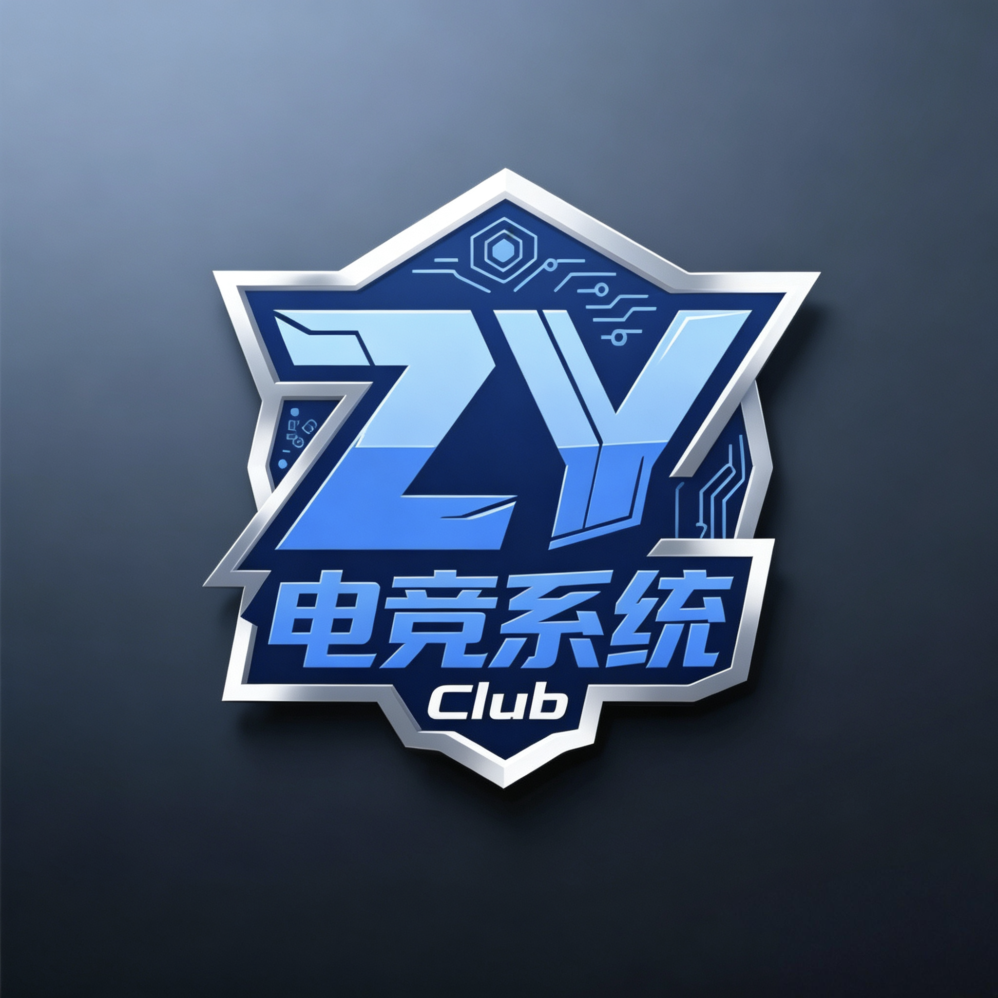 ZY电竞护航系统